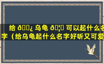 给 🌿 乌龟 🦉 可以起什么名字（给乌龟起什么名字好听又可爱）